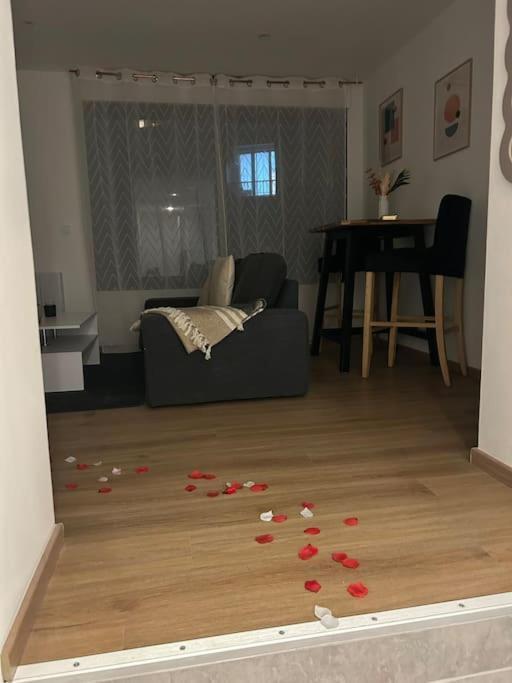Apartment Neuf Equipe *