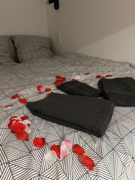 Apartment Neuf Equipe Digne-les-Bains